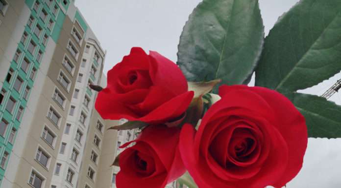 З Днем Будівельника!