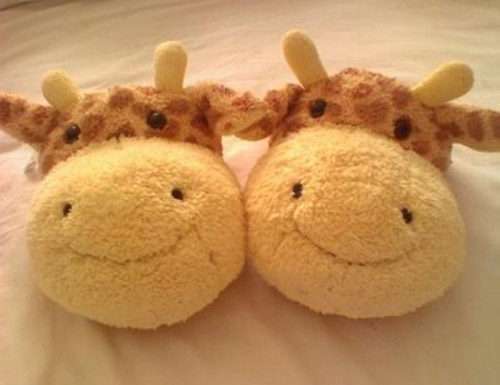 Запамятай: хто перший встав, того і тапки!