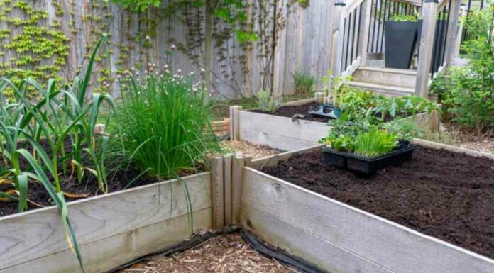 Щоб добро не пропадало: робимо швидку теплу грядку з осінніх відходів і гілок