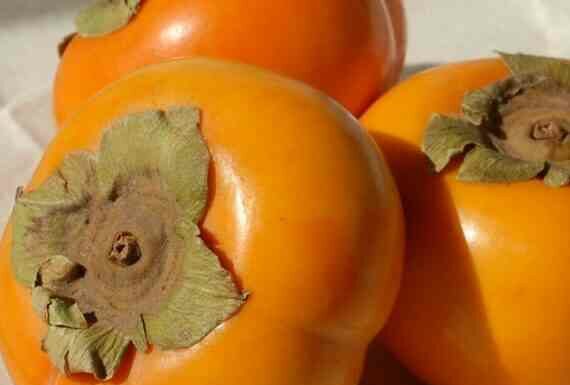 Можна хурму при гастриті і виразці шлунка