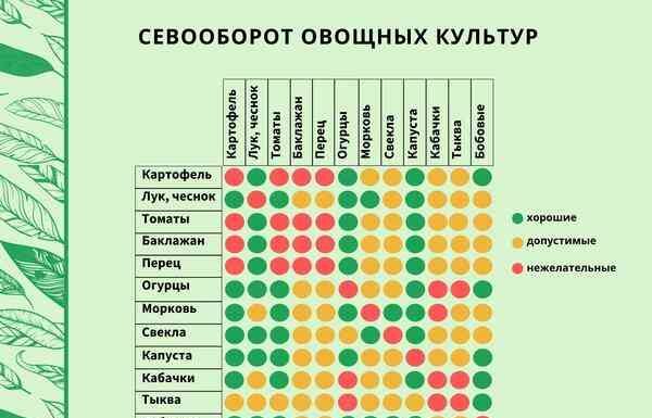 Сівозміна в городі: таблиця плодозміна овочевих культур