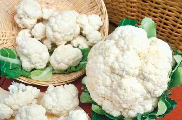 Заморозка цвітної капусти на зиму в домашніх умовах