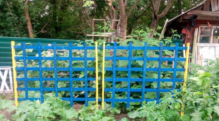 Складні шпалери для огірків