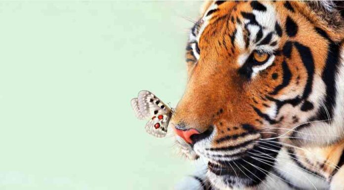 Найвдаліший день в 2022 році для вашого знака