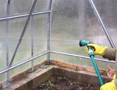 Чим помити теплицю з полікарбонату. Догляд за теплицею після збору врожаю