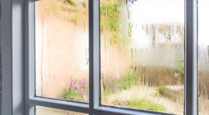 7 дивовижних причин утворення конденсату на вікнах влітку-і як цього запобігти