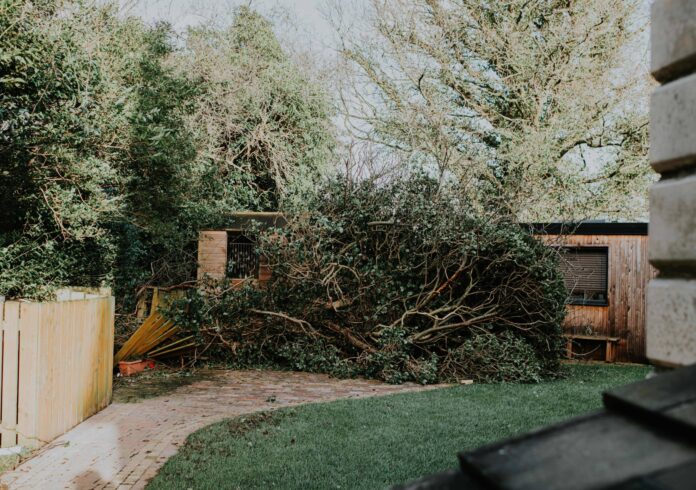 2d8f07be-a6fb-494e-b342-1a2f0098e737