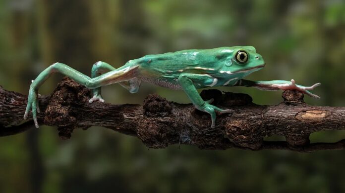 eb4a5973-22a2-485f-9923-3b20d83e912b