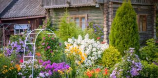6 Generational Gardening Tips That Actually Work (And One That Doesn’t)