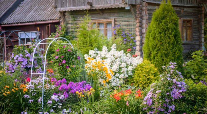 6 порад з садівництва, які дійсно працюють (і одна, яка немає)
