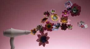 Funktionsweise eines Haartrockners: Im Inneren des Motors, der Heizspirale und des FI-Schutzschalters