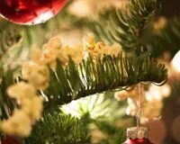 Warum Weihnachtslichter immer noch Ihre Hausrenovierungspläne bestimmen